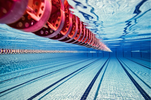 natation pour séniors